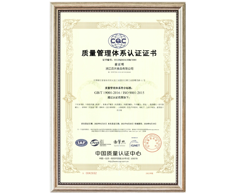 19001 System Certification.jpg